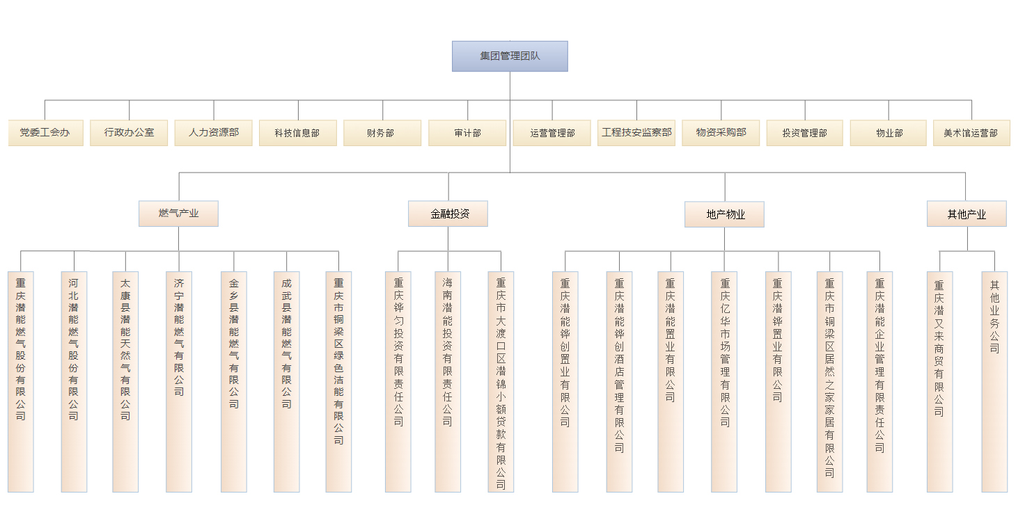 集团组织架构-2